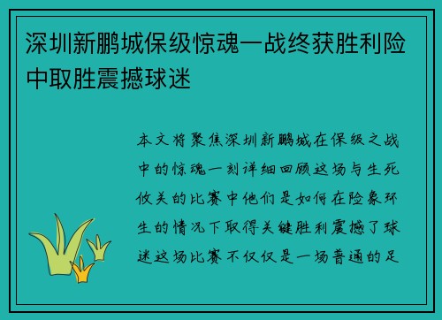 深圳新鹏城保级惊魂一战终获胜利险中取胜震撼球迷